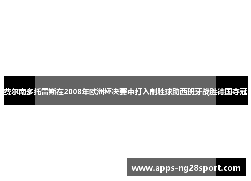 费尔南多托雷斯在2008年欧洲杯决赛中打入制胜球助西班牙战胜德国夺冠