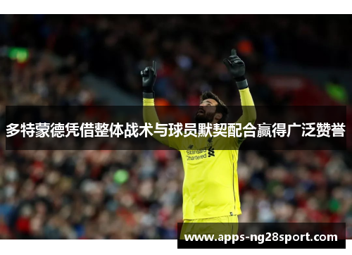 多特蒙德凭借整体战术与球员默契配合赢得广泛赞誉