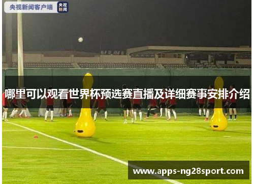 哪里可以观看世界杯预选赛直播及详细赛事安排介绍
