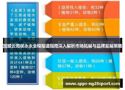 加盟云南侯永永全程报道指南深入解析市场拓展与品牌发展策略