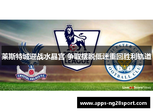 莱斯特城迎战水晶宫 争取摆脱低迷重回胜利轨道